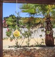 Es Pas Formentera Agroturismo