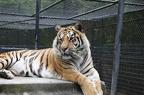 Candlewood Suites McDonough by IHG