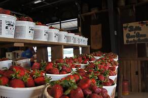 Candlewood Suites McDonough by IHG