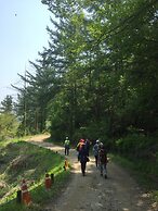 The Guesthouse DMZ Stay - Hostel