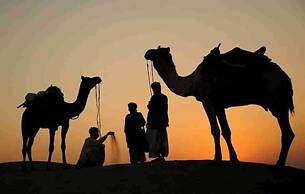 The Mamas Resort and Camp