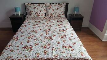 Cenario Catita Hostel