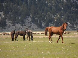 Ormana Active Dogan Boutique Hotel