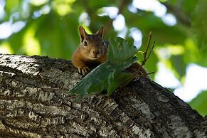 Ormana Active Dogan Boutique Hotel