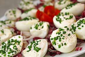 Hotel Silvia Misano Adriatico