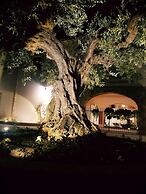 Momentum Wellness Bio Resort