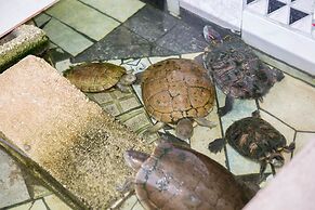 Surf Turf at Turtle Tower