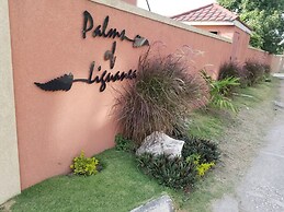 Palms of Liguanea