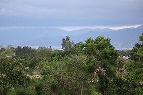 Apartamentos La Alborada