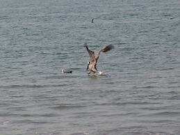 Coral Suites Bucerias