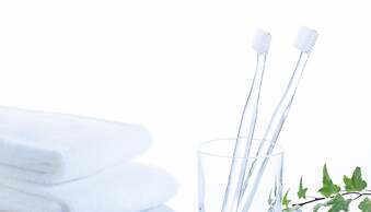 Comfort Inn Kyoto Shijokarasuma