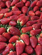 Bellaroto Suite & Spa