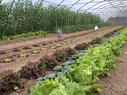 Agroturismo Urresti