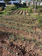 Hotel Serawa Moraira