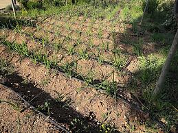 Hotel Serawa Moraira