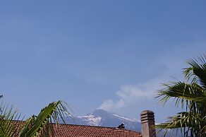 Gli Ulivi dell'Etna