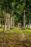 Hotel Gringo Perdido