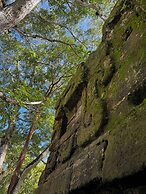 Hotel Gringo Perdido