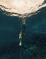 Hotel Gringo Perdido