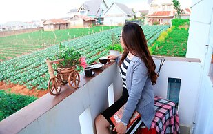 Hoai Huong Homestay