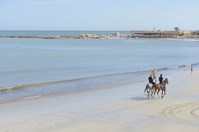 Monarque Dar Jerba Zahra