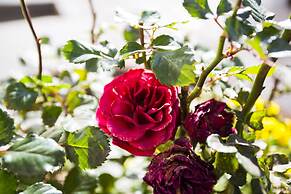 The Browns' Luxury Guest Suites