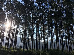 Reserva do Sahy, Condado