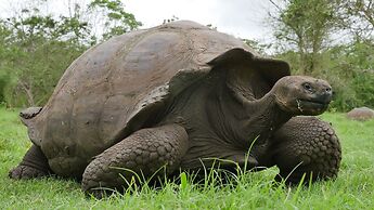 Ikala Galapagos Hotel
