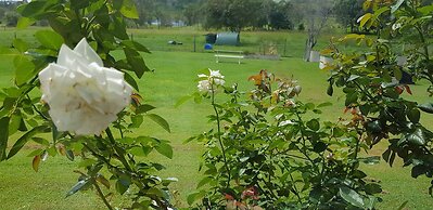 Hay Point Country B&B