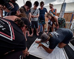 Coral Sea Dreaming Dive and Sail