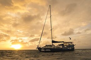 Coral Sea Dreaming Dive and Sail