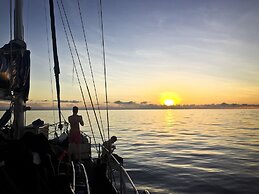 Coral Sea Dreaming Dive and Sail