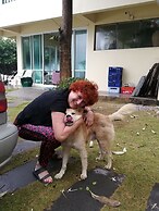 Aow Noi Sea View Resort