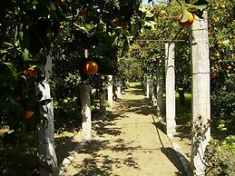 B&B Antico Aranceto