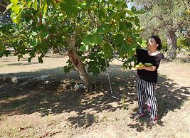 Agriturismo Villa Coluccia
