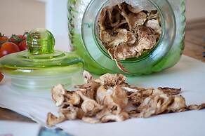 Agriturismo Villa Coluccia