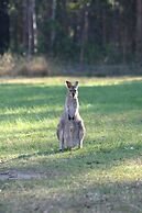 Springwood Meditation Vacation Center