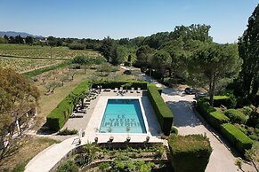 Le Vieux Platane