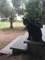 Residence Cort'e Accas