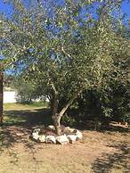 Residence Cort'e Accas