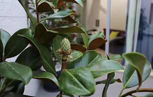 Guesthouse Villa Scalaria