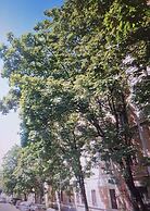 La Lupa In Trastevere