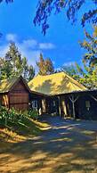 Andrea Lodges
