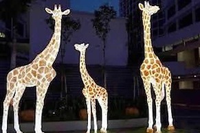 I-Suite I-City B-30-20