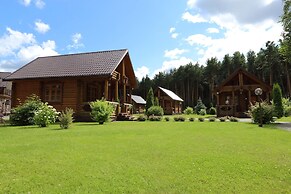 Sosnovyi bor