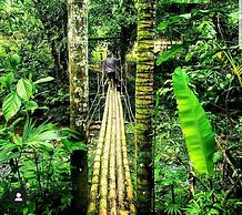 Kuyana Amazon Lodge