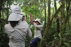 Kuyana Amazon Lodge