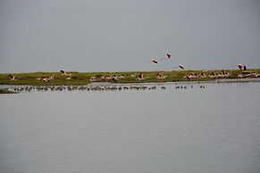 Tagus Marina - Houseboat