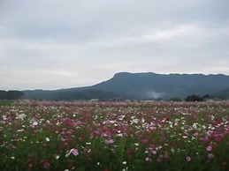 Grand Plaza Nakatsu Hotel