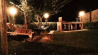 La Collina Degli Ulivi